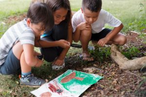 Educação ambiental